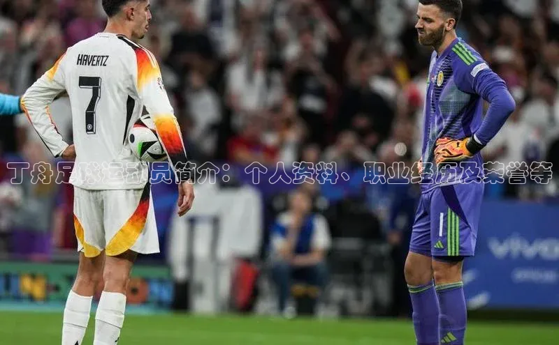 头玩官网登录入口诸葛科技丁舟足球运动员简介：个人资料、职业经历及荣誉等