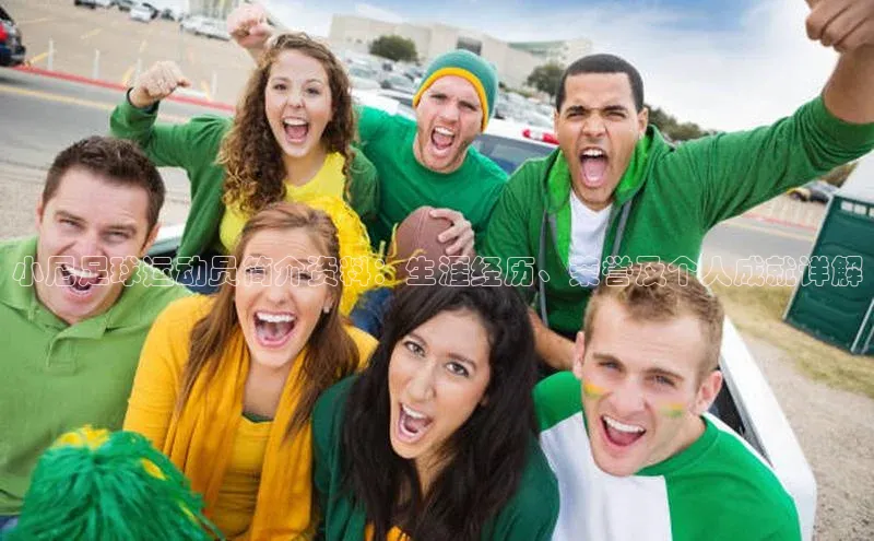 龙八国际app官方下载百度手机卫士小尼足球运动员简介资料：生涯经历、荣誉及个人成就详解