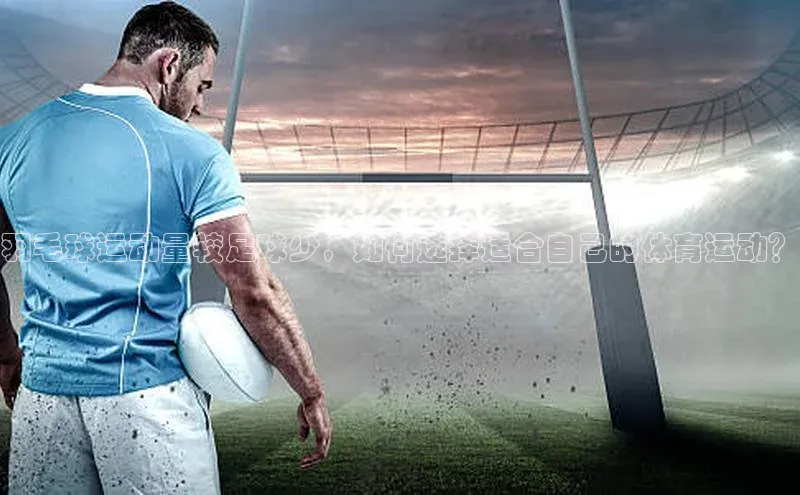 龙8官网手机登入口百度识图羽毛球运动量较足球少，如何选择适合自己的体育运动？