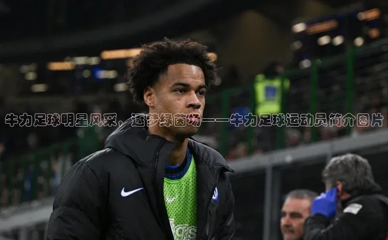 龙八国际app官方下载百度手机卫士牛力足球明星风采，逐梦绿茵场——牛力足球运动员简介图片