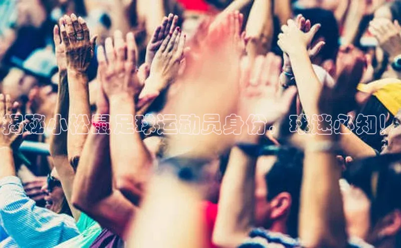 龙8官网网站百度百聘揭秘小松鼠足球运动员身份，球迷必知！