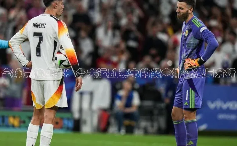 全球竞技盛宴：各大运动赛事的奖金排行榜与分析
