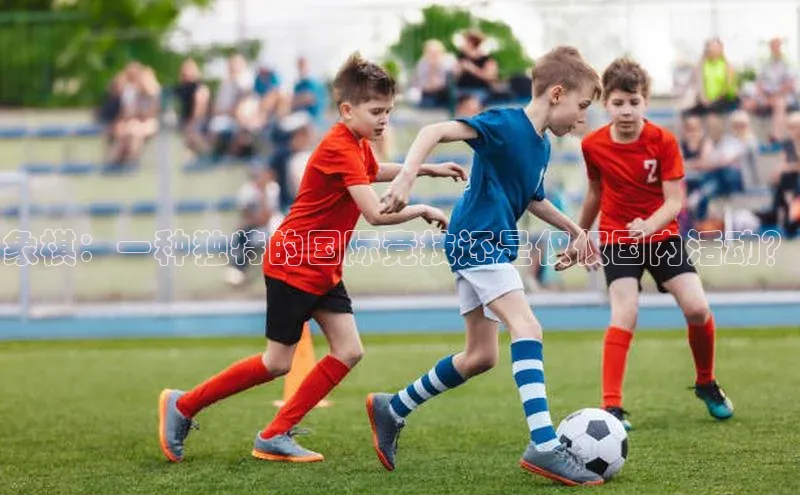 象棋：一种独特的国际竞技还是仅仅国内活动？