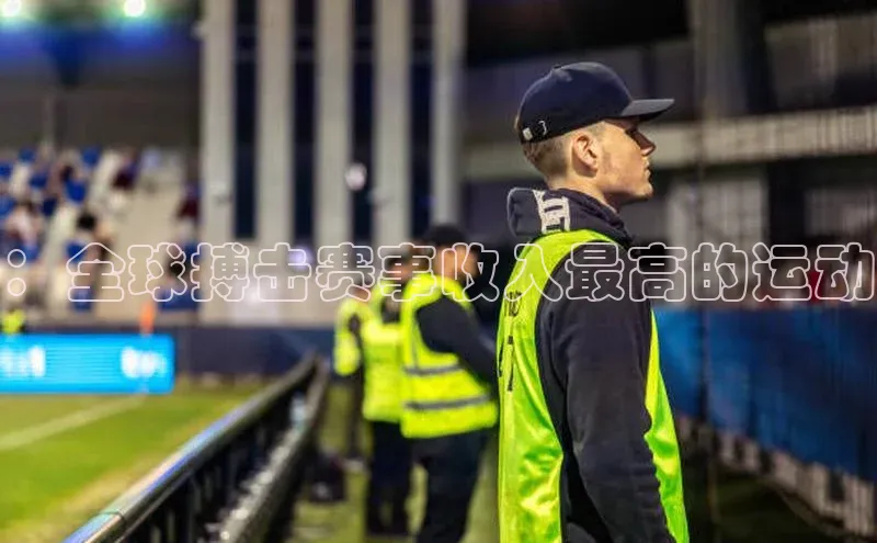 ：全球搏击赛事收入最高的运动