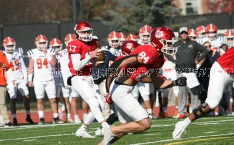 顶级专业运动赛事：从网球到赛车，体育的魅力与激情