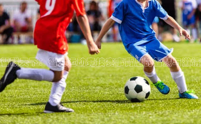 智联天下：智力运动竞技赛事背后的智慧与激情