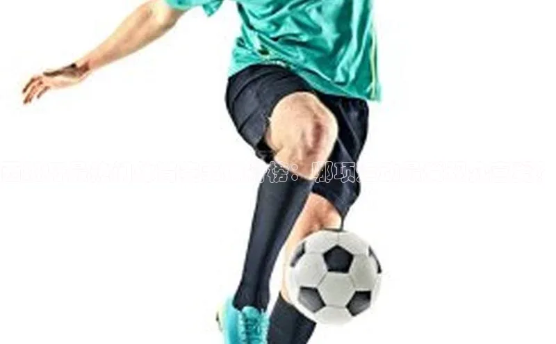 西班牙最热门体育赛事排行榜：哪项运动最受观众喜爱？