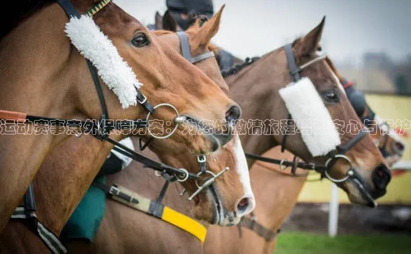 运动赛事意外保障方案：为您的激情旅程增添安心与保护