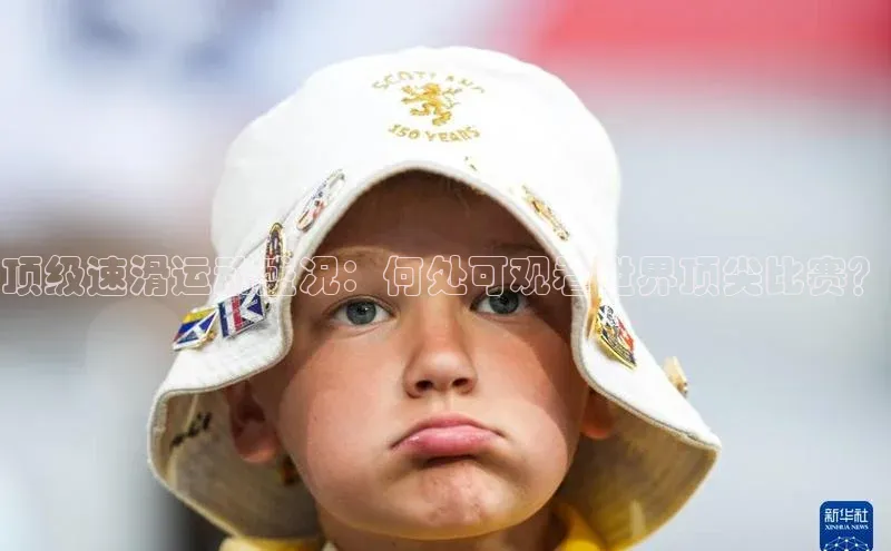 顶级速滑运动盛况：何处可观看世界顶尖比赛？