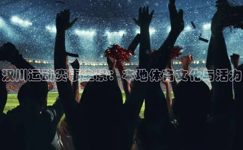 汉川运动赛事全景：本地体育文化与活力