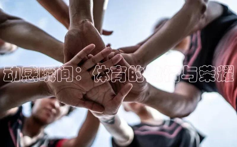 动感瞬间：体育的激情与荣耀