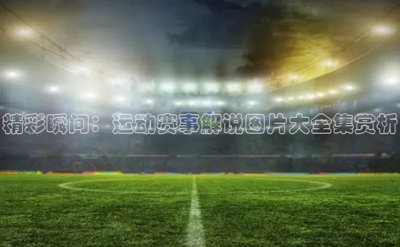 精彩瞬间：运动赛事解说图片大全集赏析